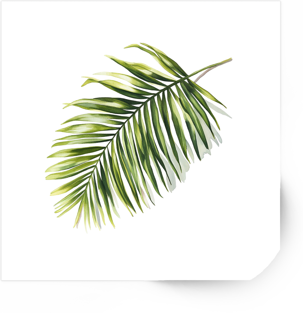Tropical Palm Leaf Sticker | Watercolor Botanical Vinyl Decal | Plant Lover Nature Gift