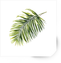 Thumbnail for Tropical Palm Leaf Sticker | Watercolor Botanical Vinyl Decal | Plant Lover Nature Gift