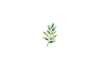 Thumbnail for Watercolor Leaf Sprig Throw Pillow | Minimal Green Botanical Decorative Pillow | Home Gift
